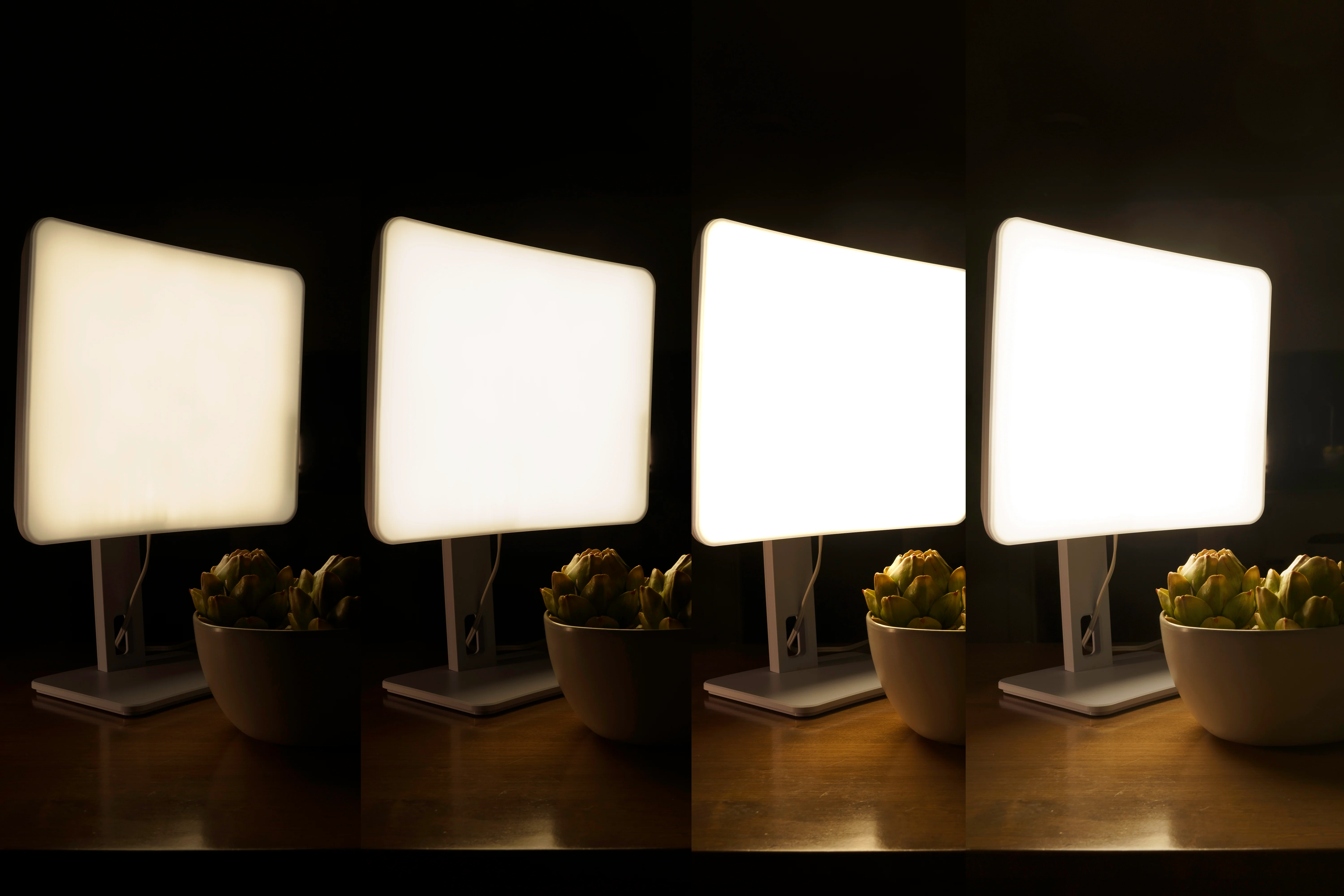 Carex Day-Light Elite Light Therapy Lamp - Image 11